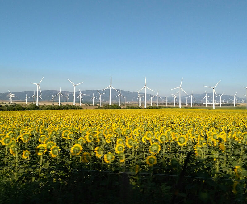 Five key takeaways from the Net Zero Review Pagefield